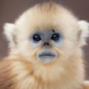 Meet your Posher, Valerie